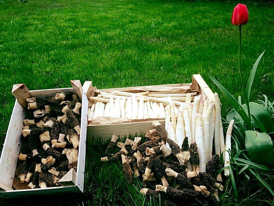 Logis Hôtel-Restaurant du Herrenstein