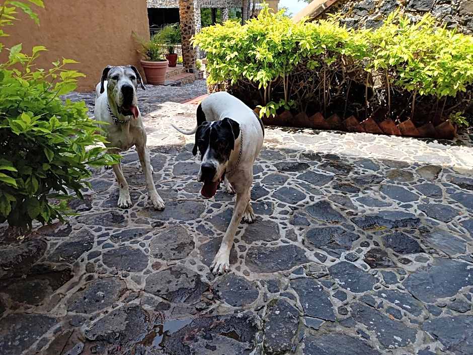 Wellness Center El Secreto