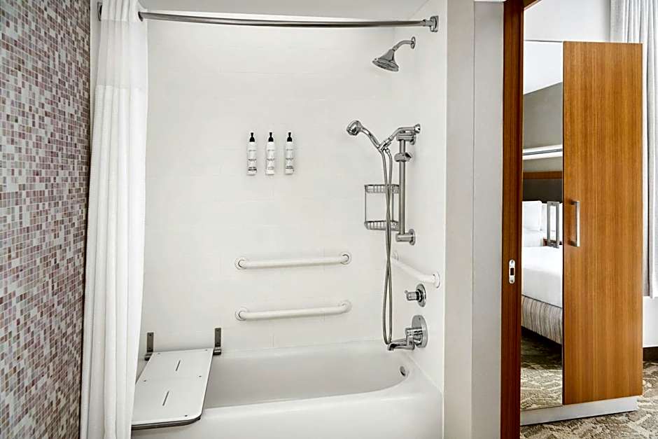 SpringHill Suites by Marriott Detroit Metro Airport Romulus