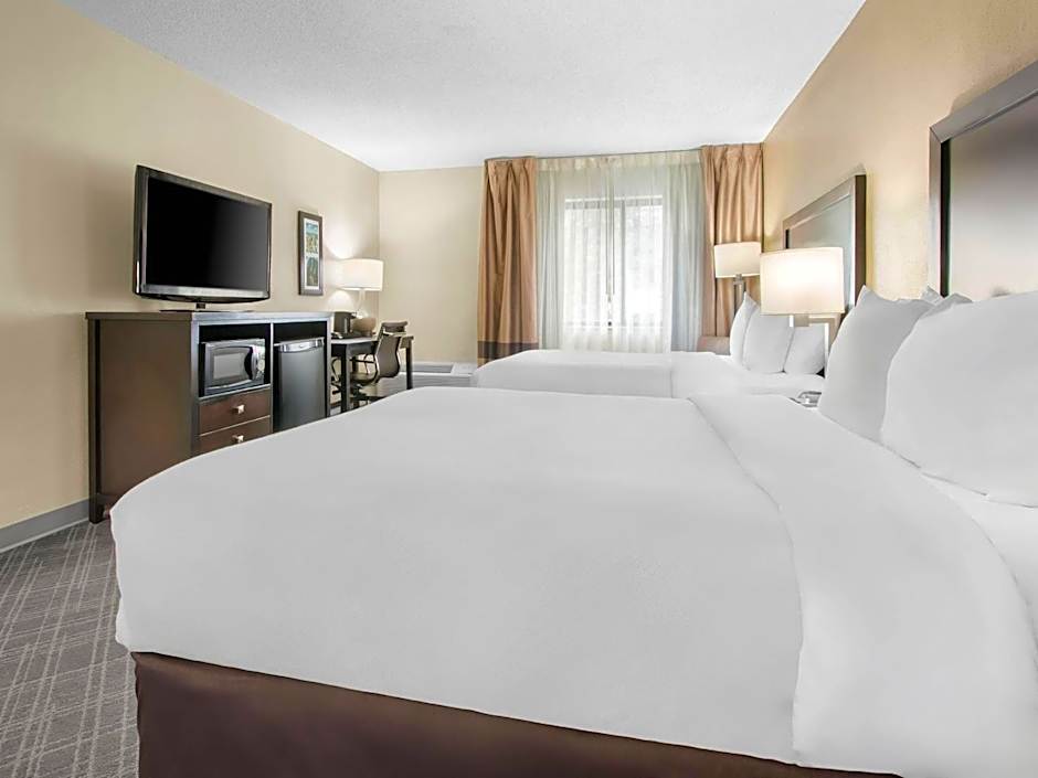 Comfort Inn Detroit Downtown