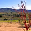 Rancho Matalote en Valle de Guadalupe