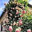 Les Jardins des Soussilanges