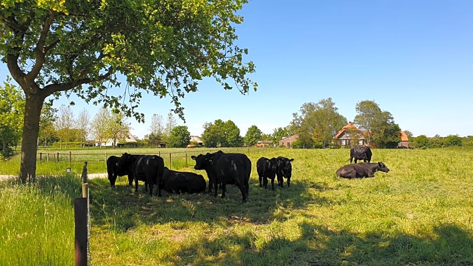 B&B de Scherpenhof