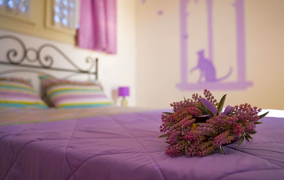 BB Il Grande Salice Bike Friends