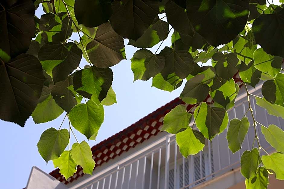 1er Consul SAS a Bussinca