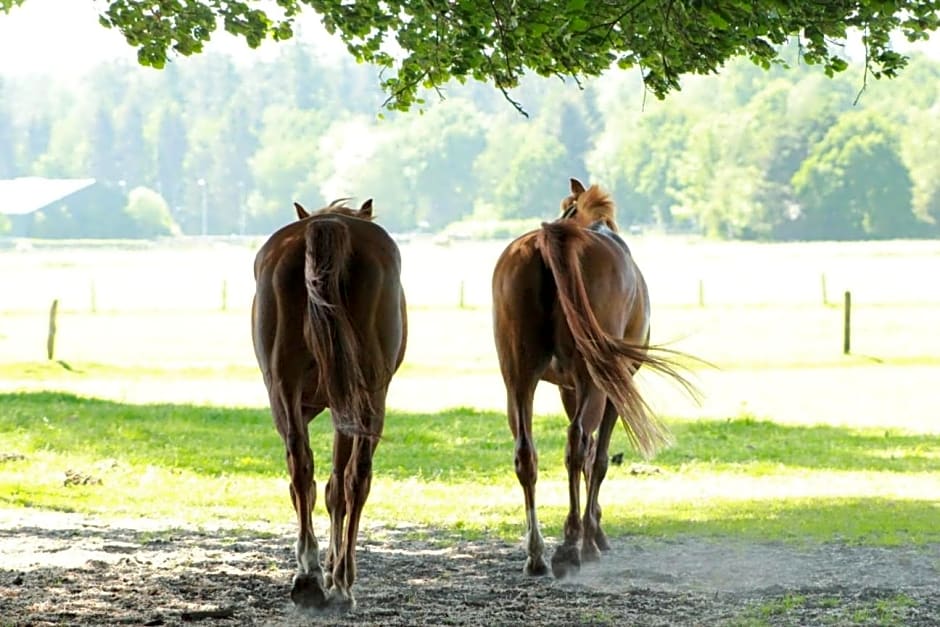 Boerderij de Enkhoeve