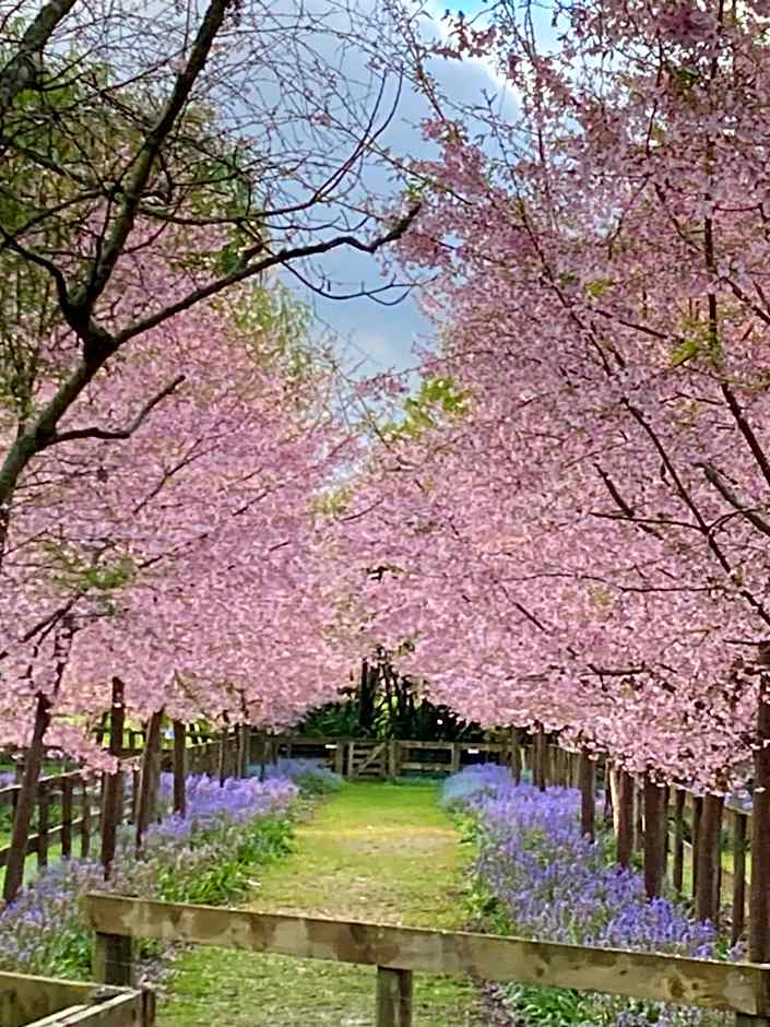 English Cherry Tree Manor