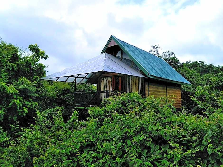 Photo 1 of 16 of Tree House