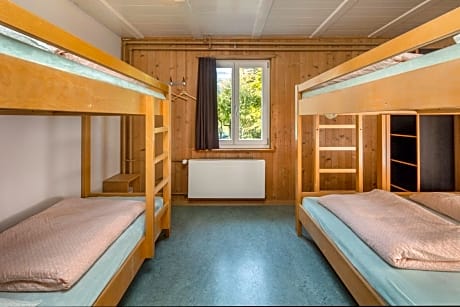 Bed in 6-Bed Dormitory Room