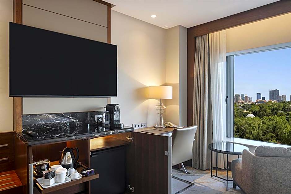 Photo 1 of 2 of Executive 1 King Bed, Park View