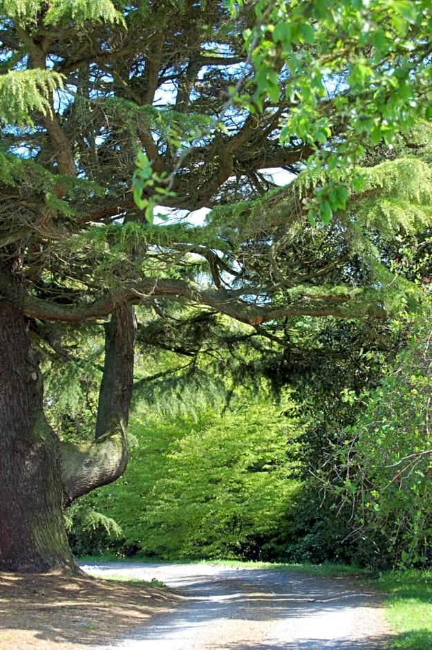 Ballydugan Country House