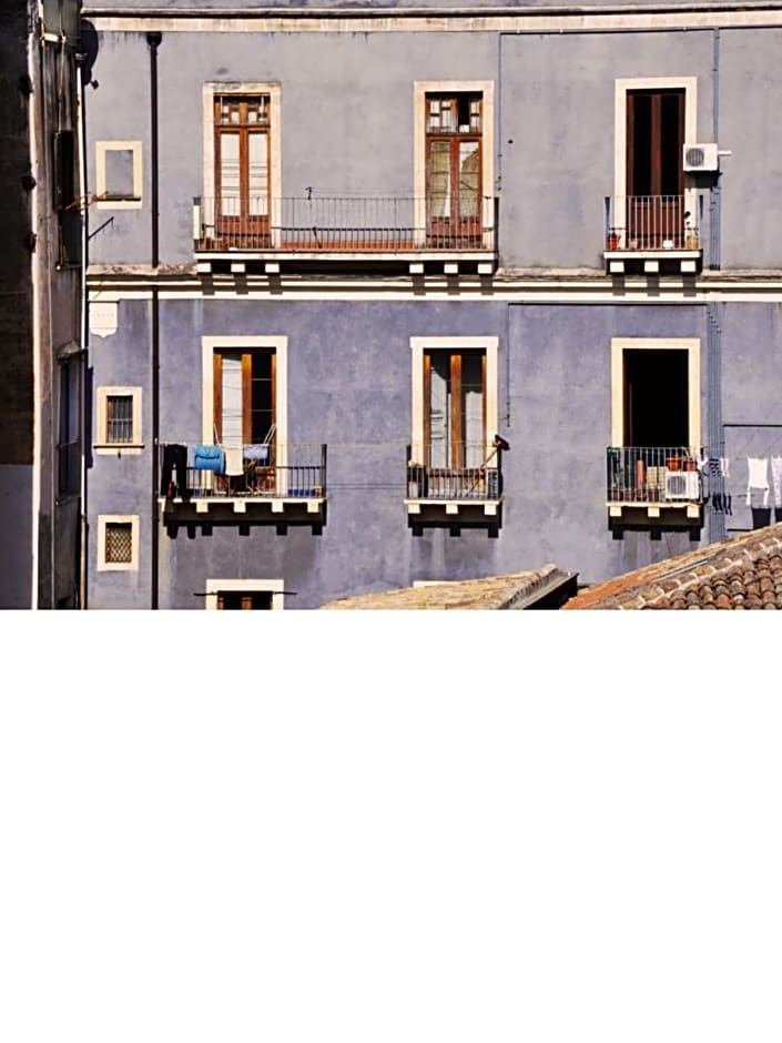 Gemme di Zagara