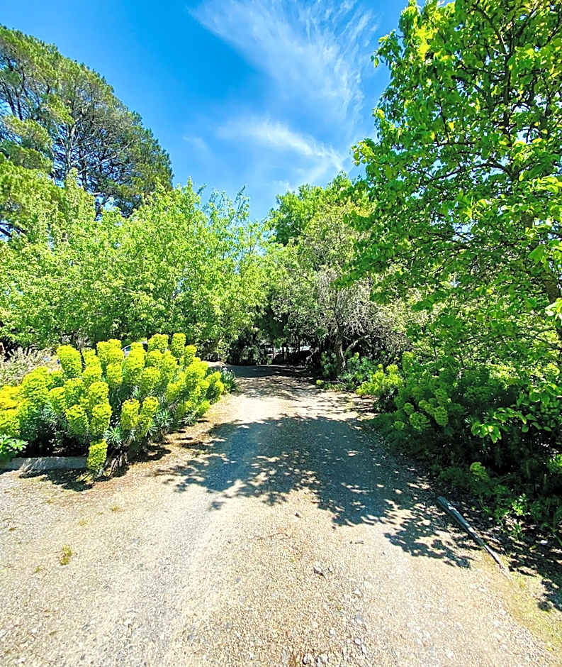 Sutton Spring Art Retreats