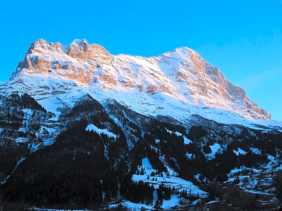 Hotel Bernerhof Grindelwald