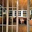 Chateau Deau Faraya