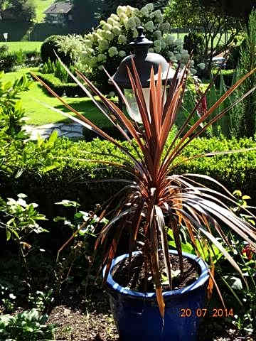 Gartenhotel Lenzenhof - Wildschönau- PREMIUMCARD inclusive