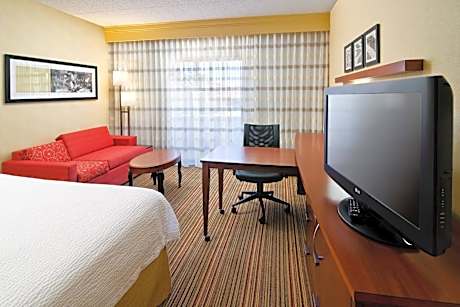 King Room with Sofa Bed and Roll-in Shower - Mobility and Hearing Accessible