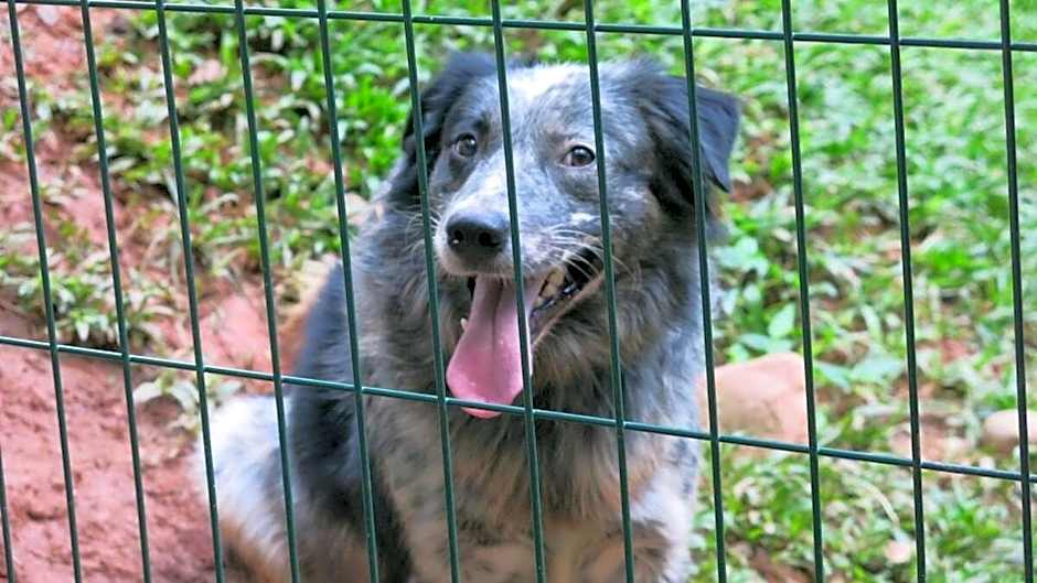 STUDIO Privado COM AR próx Shopping+Universidades