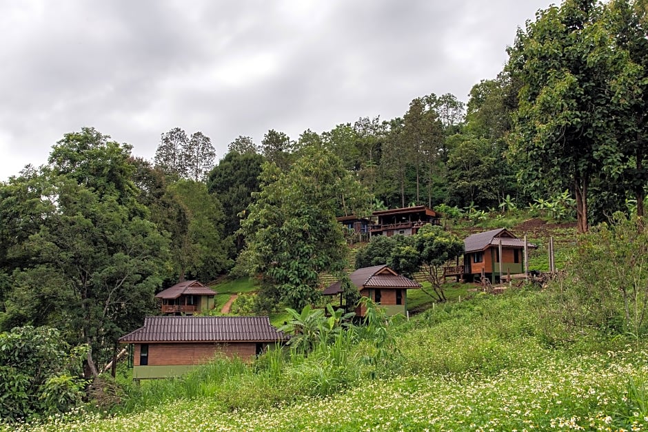 Chiang Mai Elephant Friends