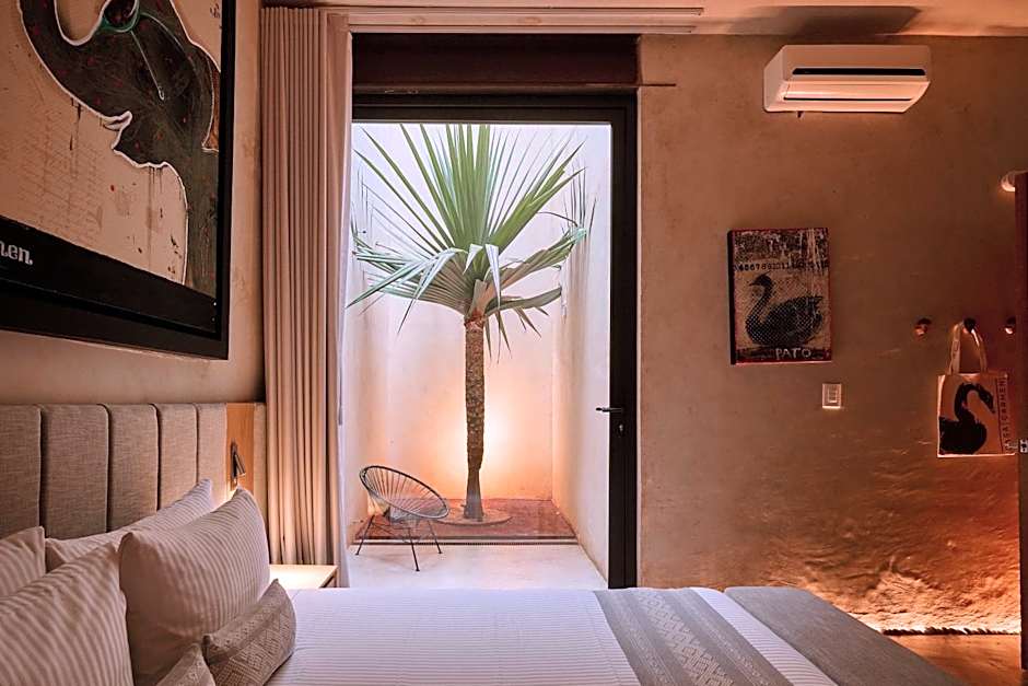 Casa Carmen Reforma