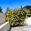 Chambres d'hôtes, B&B climatisées LA BORRELLIENNE