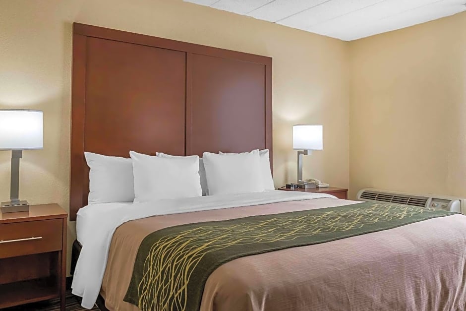 Comfort Inn - Pocono Mountain