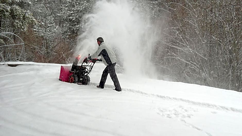 appartement indépendant chalet "les Ormes"