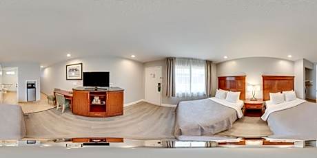 Efficiency King Room - Accessible/Non-Smoking