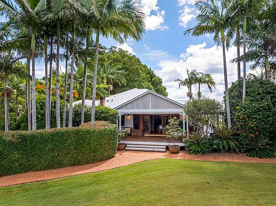 Cedia at Byron Bay Hinterland