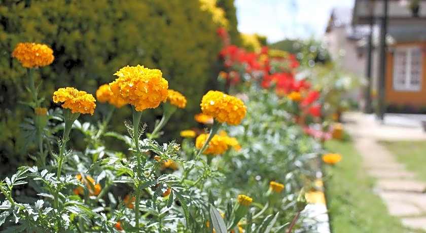 Lady Horton Bungalow