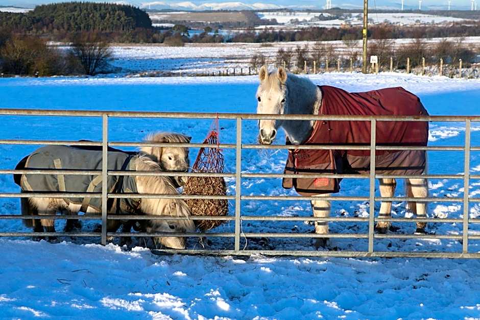 Blairmains Guest House