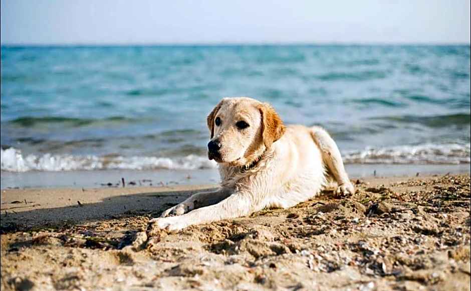 Suburban Studios Brunswick I-95