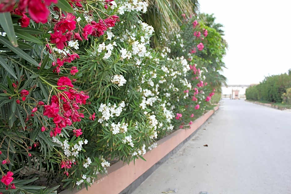 Bahrain Beach Bay