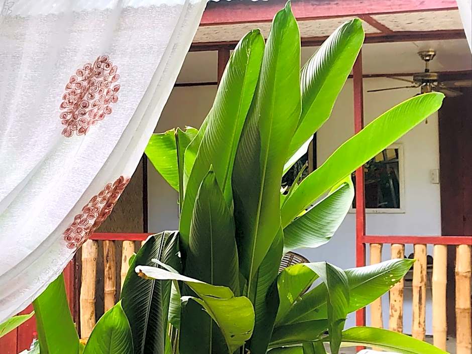 Balili Farm At Nacpan