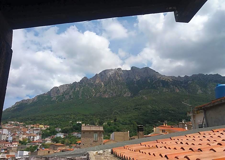 B&b barbaricino iun F1442