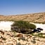 Hadass Desert Inn
