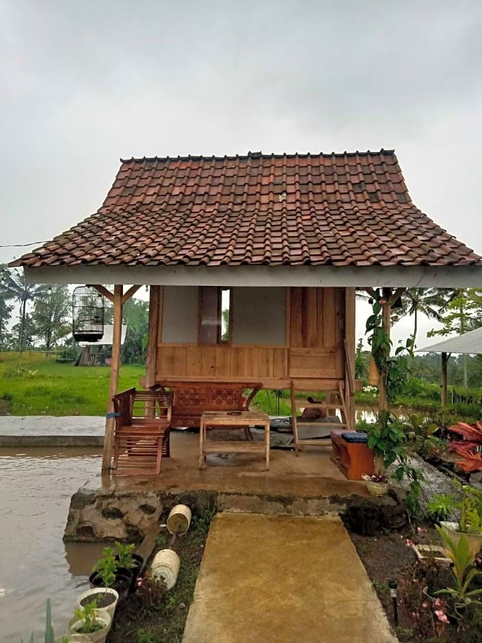 EXPRESS O 91901 Homestay Irish Irish