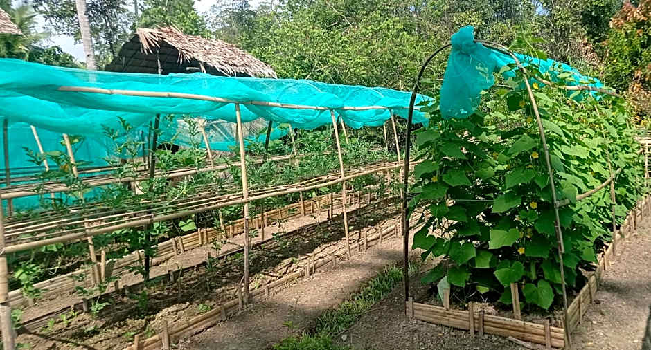 Ocean Green Eco Lodge