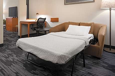 Queen Studio with Sofa Bed and Roll-in Shower - Mobility Accessible