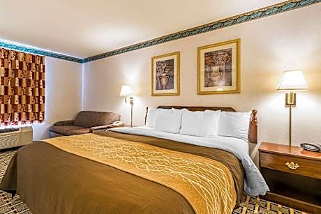 1 King Bed, Nonsmoking