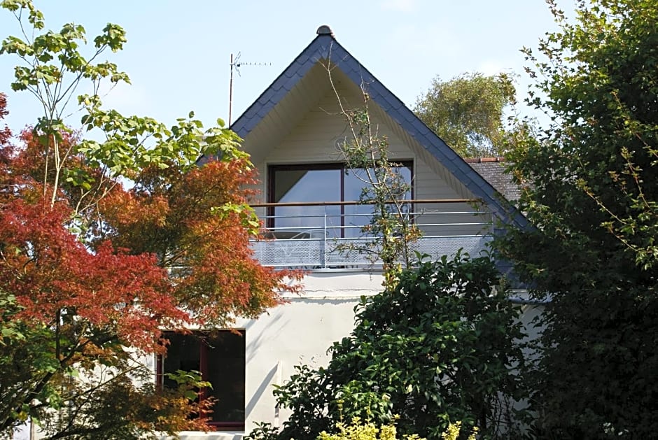 La Canopée des Pins