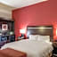 Hampton Inn By Hilton And Suites Detroit/Airport-Romulus