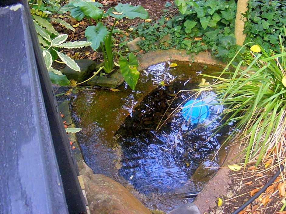 Weeroona Bed And Breakfast