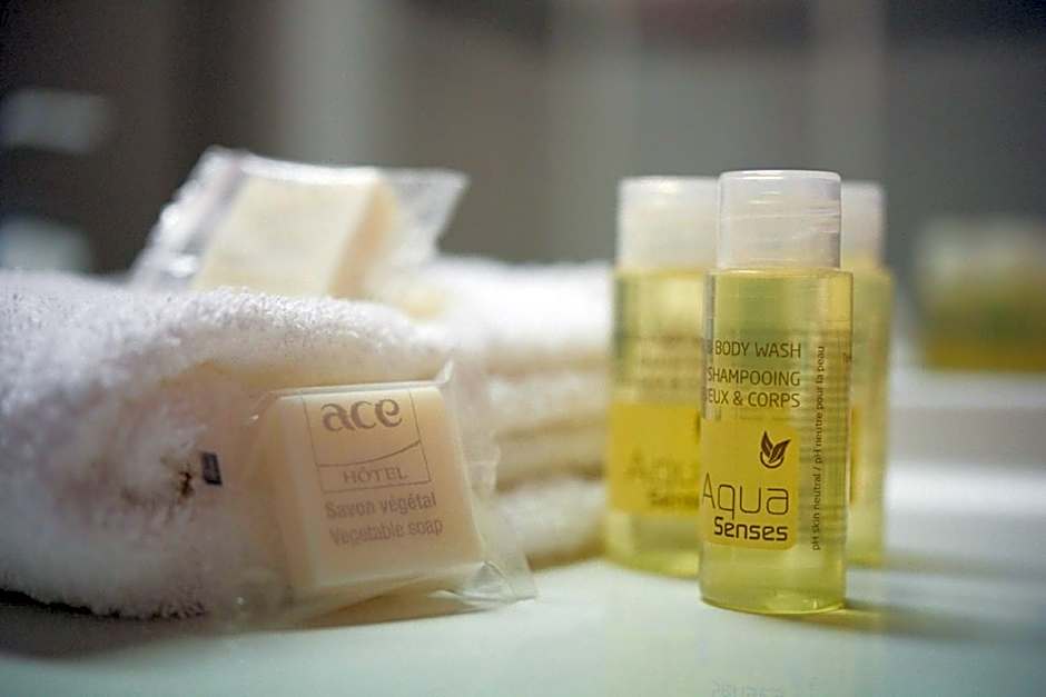 ACE Hôtel Rouen Parc des Expositions