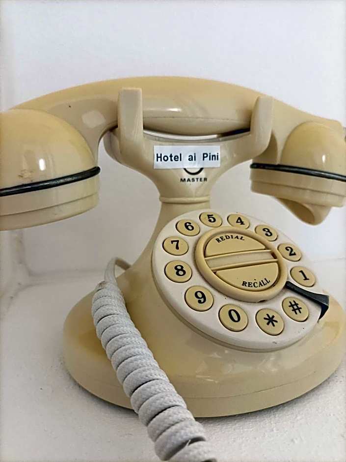 Hotel Ai Pini