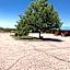 Palomino Motel
