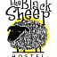 The Black Sheep Hostel