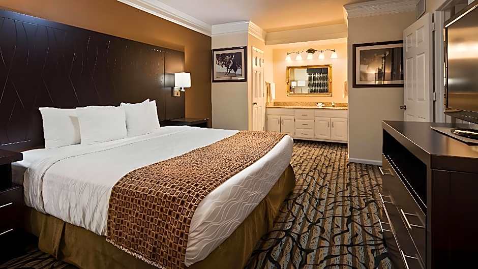 Best Western Spring Hill Inn & Suites