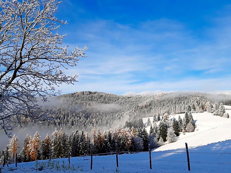 Auszeit Almhaus Schmalzbauer