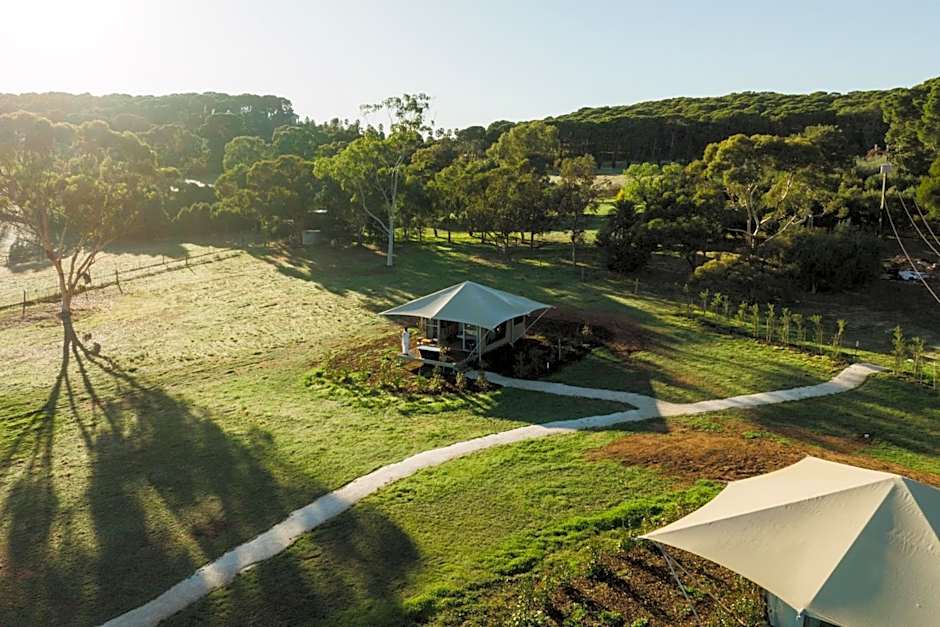 CANVS by CABN Seppeltsfield Barossa